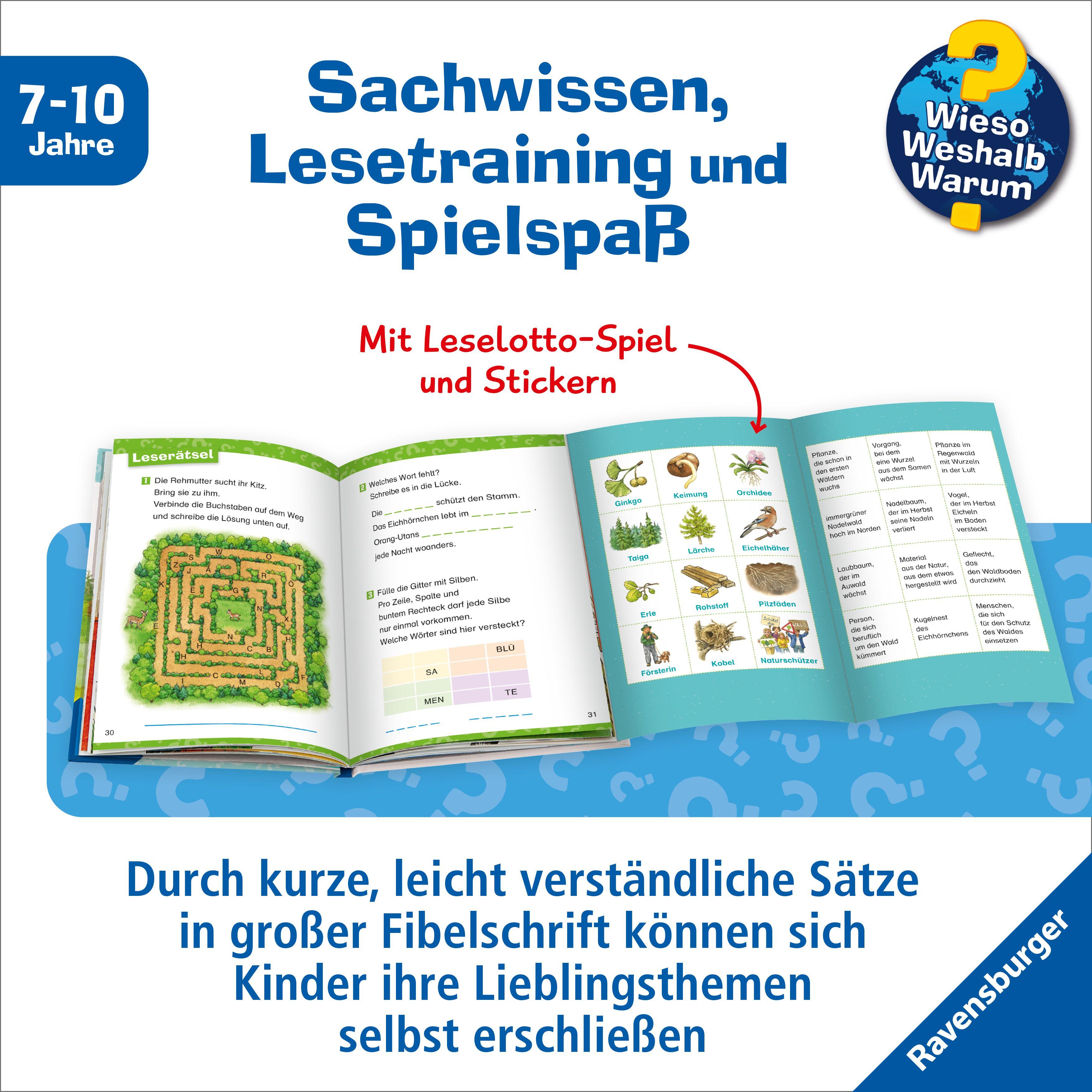 Beispielinhalt (Bild) Wieso? Weshalb? Warum? Erstleser, Band 17 - Im Wald