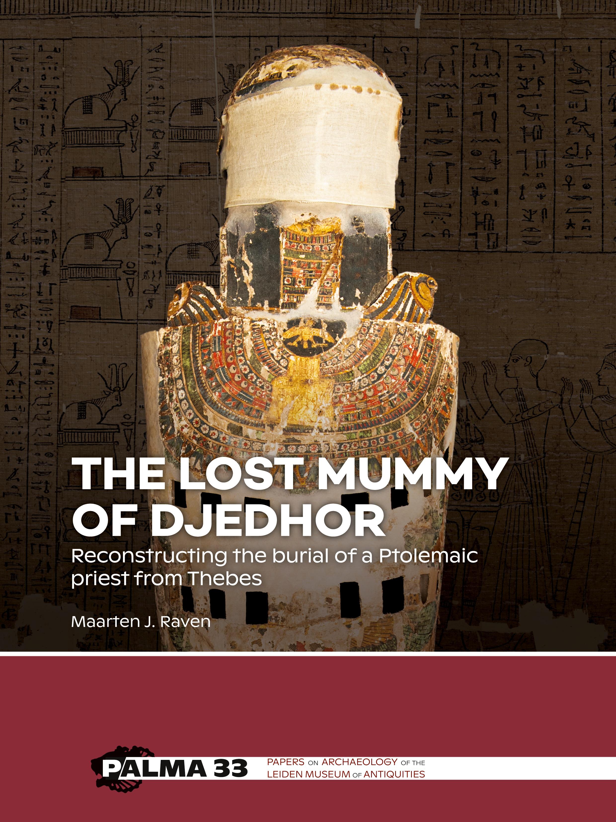 Vorderes Coverbild The lost mummy of Djedhor