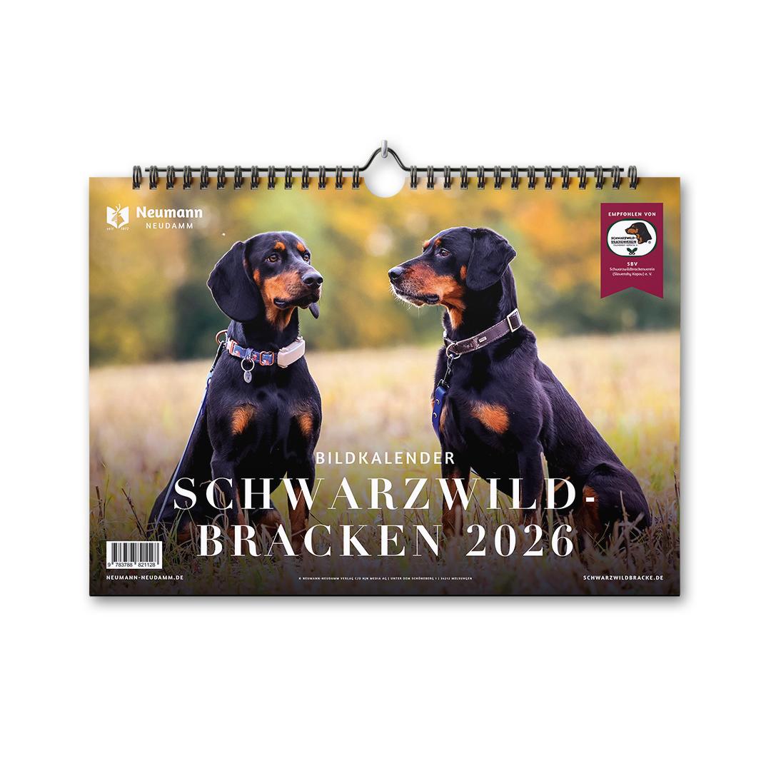 Vorderes Coverbild Schwarzwildbracken 2026
