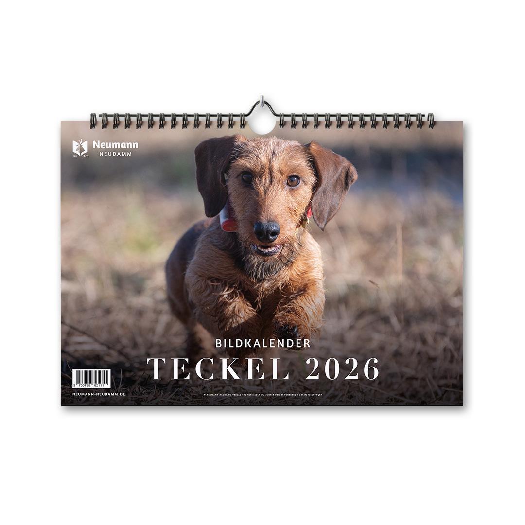 Vorderes Coverbild Teckel 2026