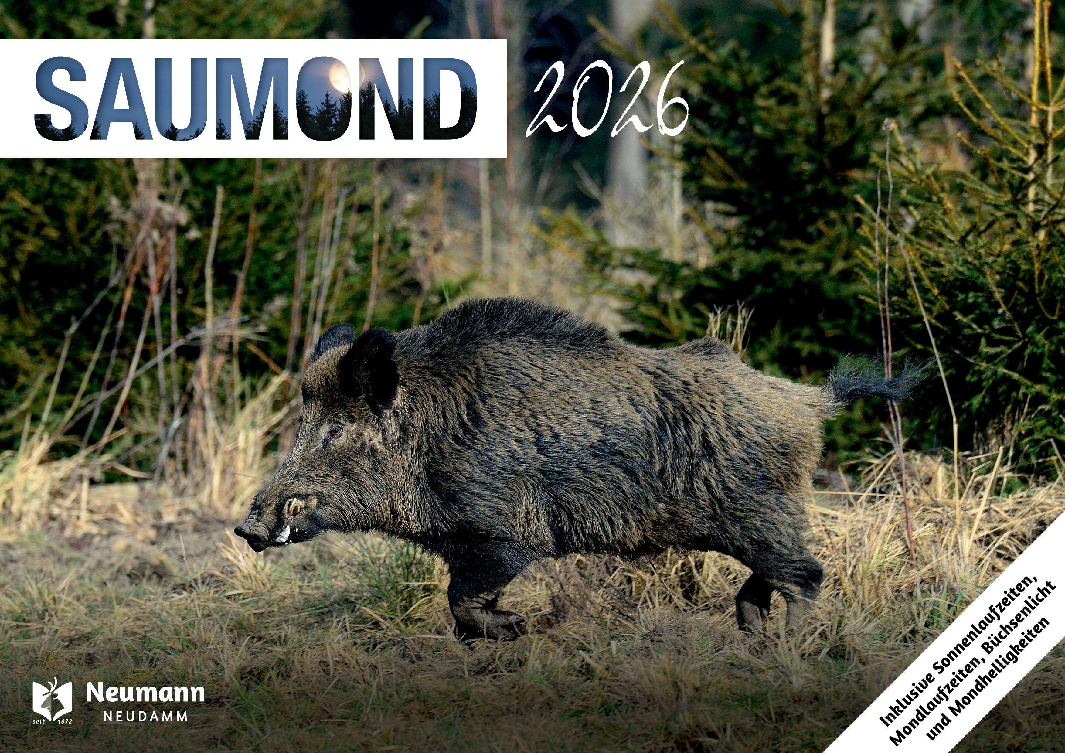 Vorderes Coverbild Saumond 2026