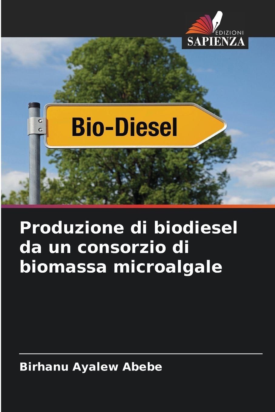Vorderes Coverbild Produzione di biodiesel da un consorzio di biomassa microalgale