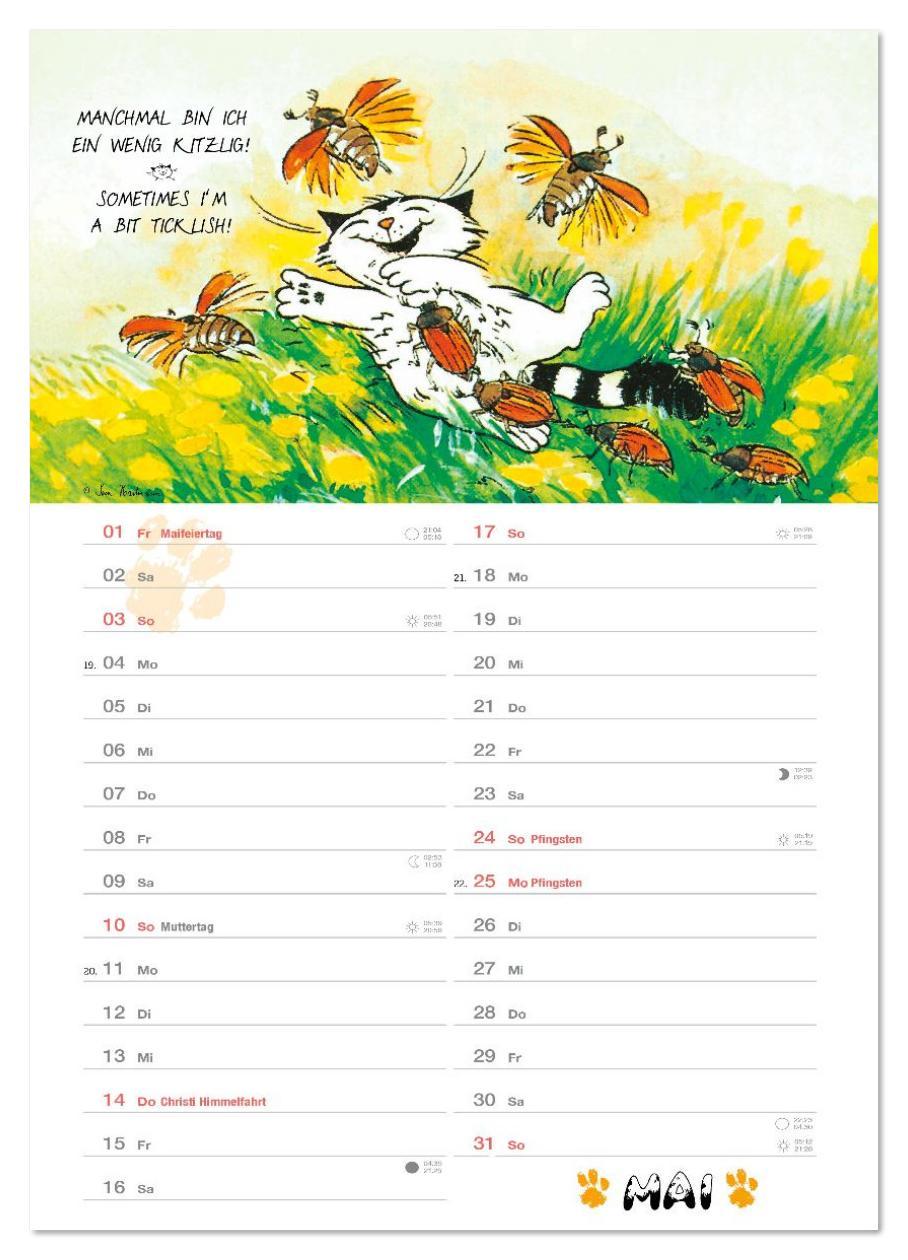 Beispielinhalt (Bild) Kater Jacob: kleine Katzenweisheiten (Wandkalender 2026 DIN A4 hoch), CALVENDO Monatskalender