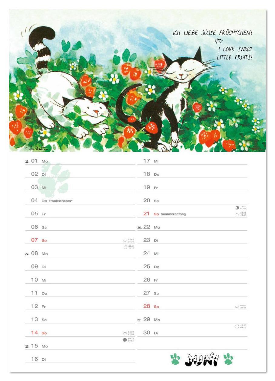 Beispielinhalt (Bild) Kater Jacob: kleine Katzenweisheiten (Wandkalender 2026 DIN A4 hoch), CALVENDO Monatskalender