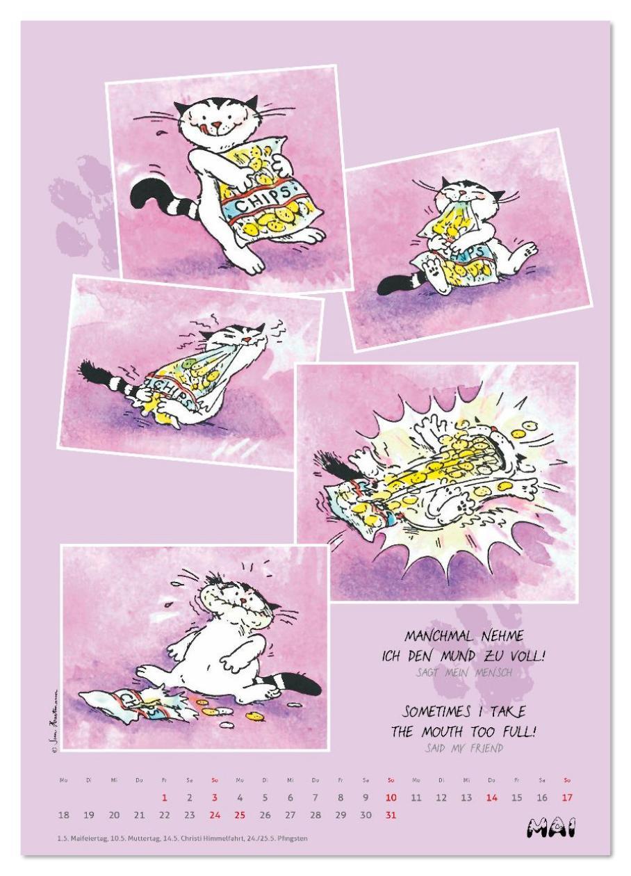 Beispielinhalt (Bild) Kater Jacob: Ach Du lieber Mensch (Wandkalender 2026 DIN A4 hoch), CALVENDO Monatskalender