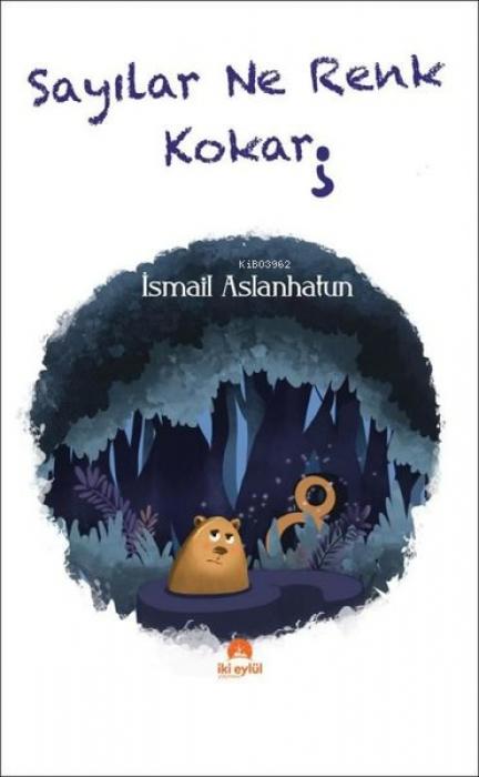 Vorderes Coverbild Sayilar Ne Renk Kokar