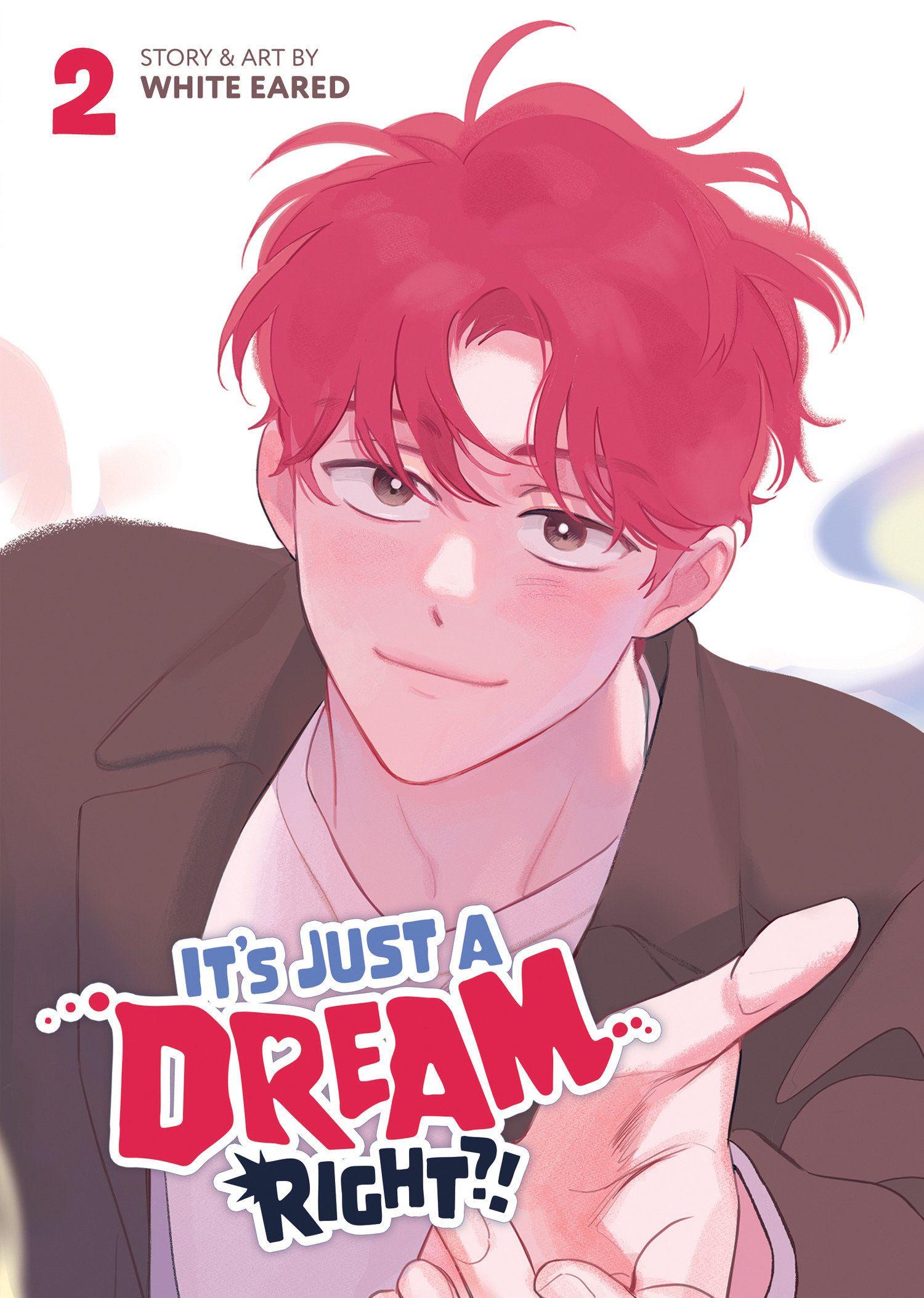Vorderes Coverbild It's Just a Dream... Right?! (Comic) Vol. 2