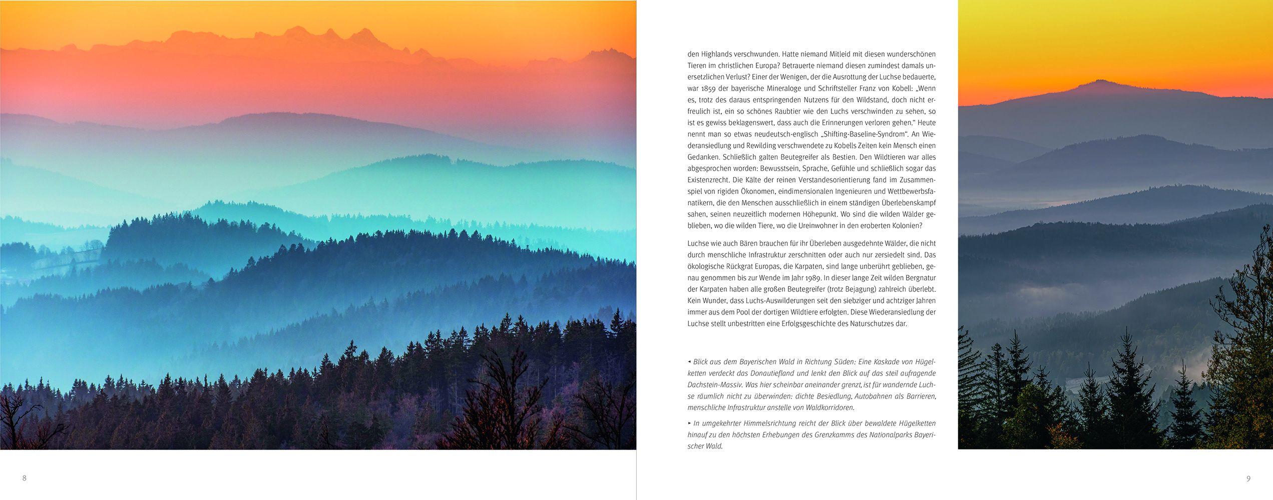 Beispielinhalt (Bild) Luchs