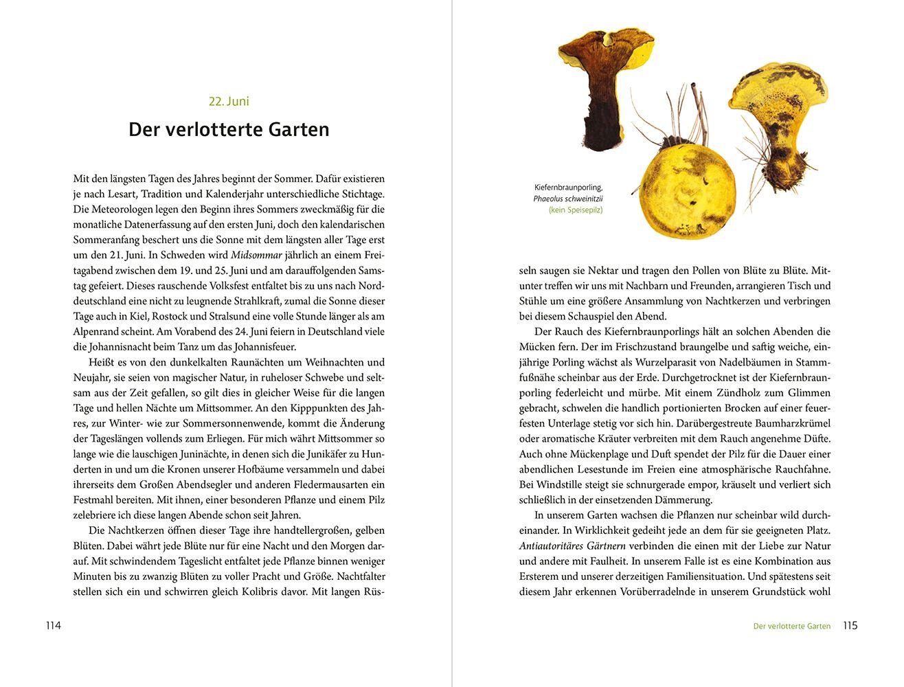 Beispielinhalt (Bild) Pilzen begegnen