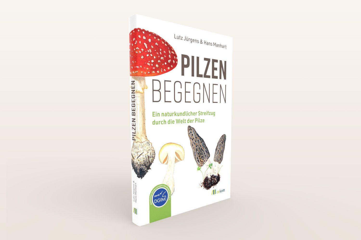 Beispielinhalt (Bild) Pilzen begegnen