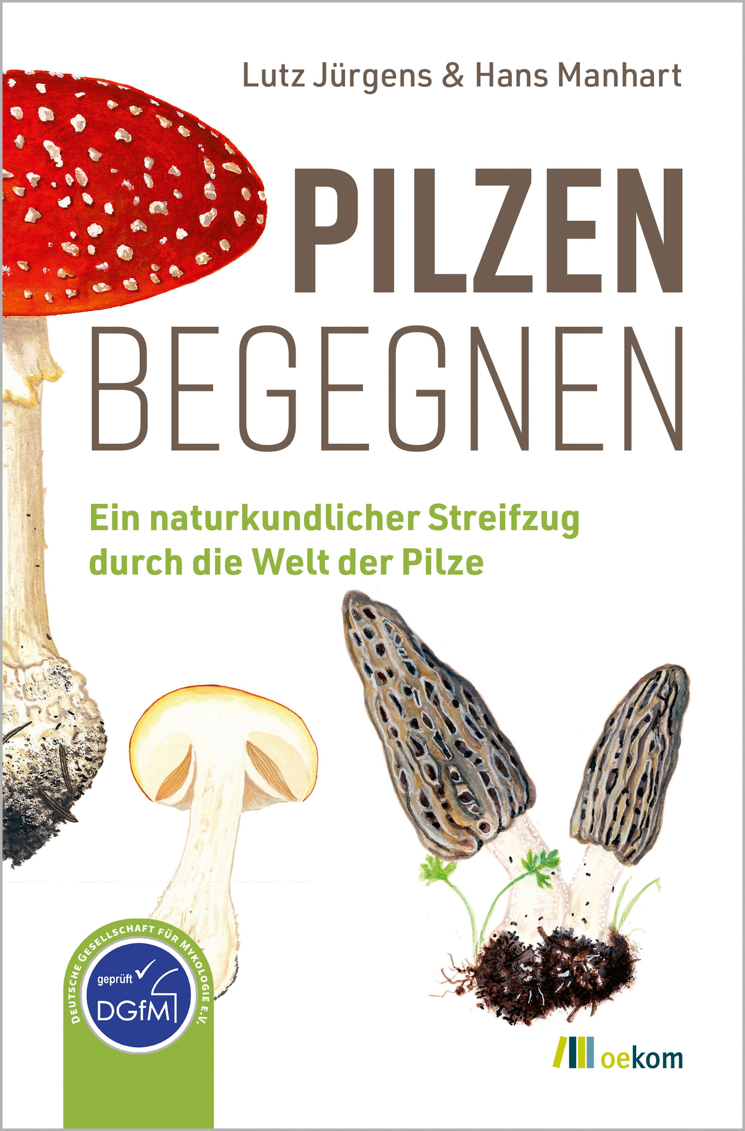 Vorderes Coverbild Pilzen begegnen
