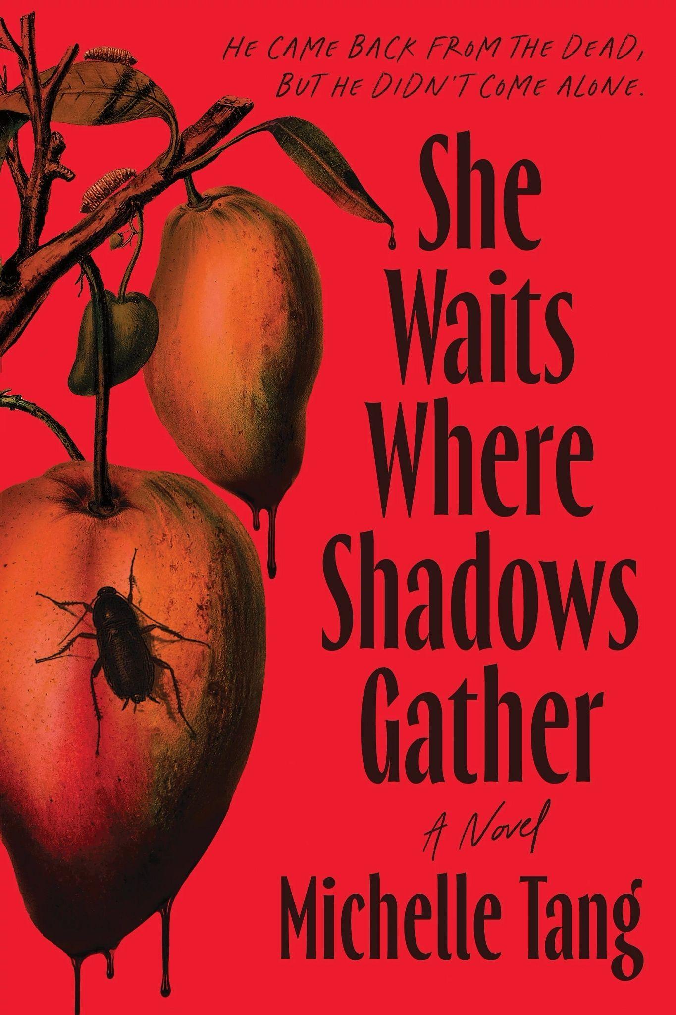 Vorderes Coverbild She Waits Where Shadows Gather