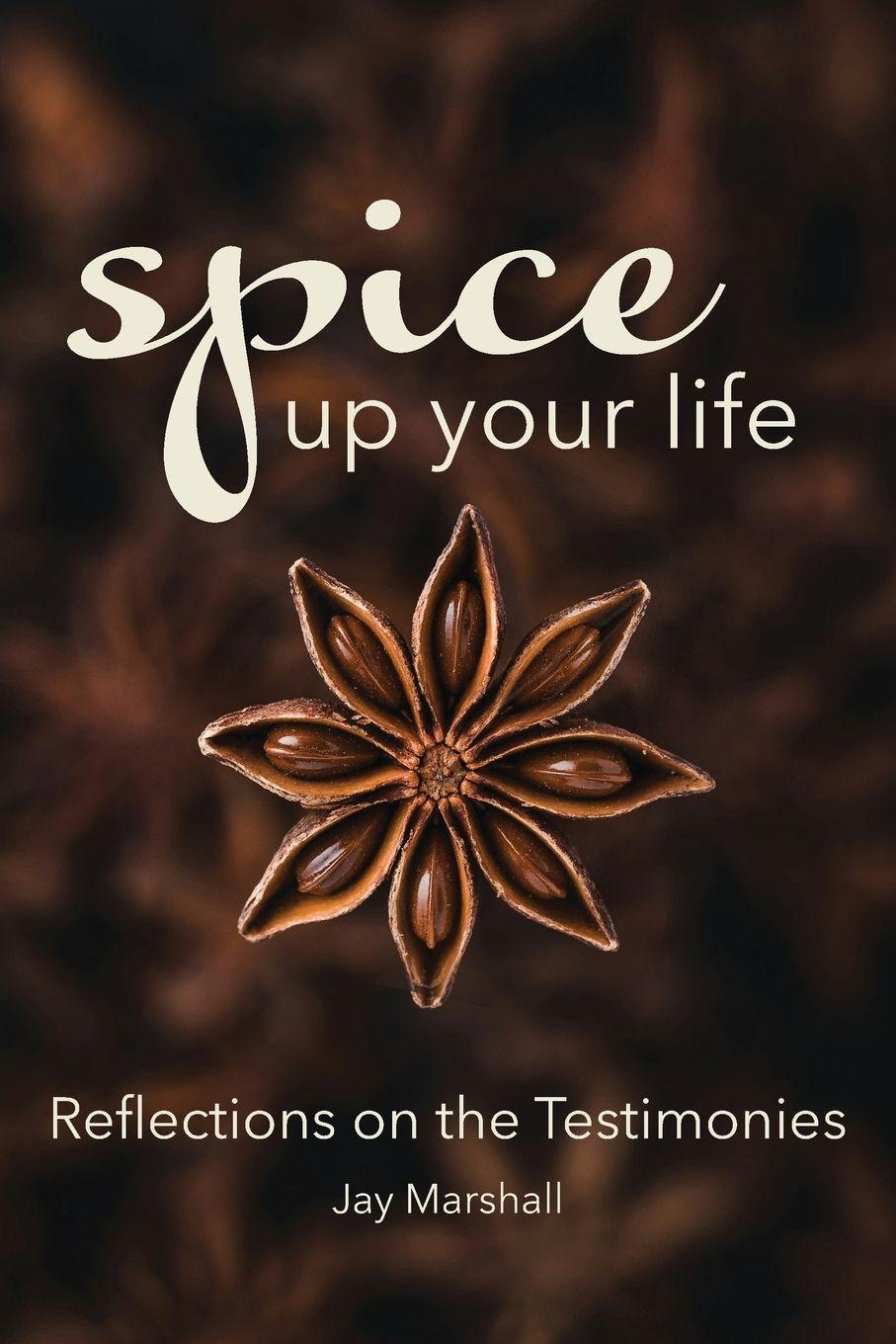 Vorderes Coverbild SPICE Up Your Life