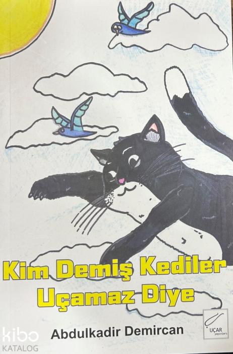 Vorderes Coverbild Kim Demis Kediler Ucamaz Diye
