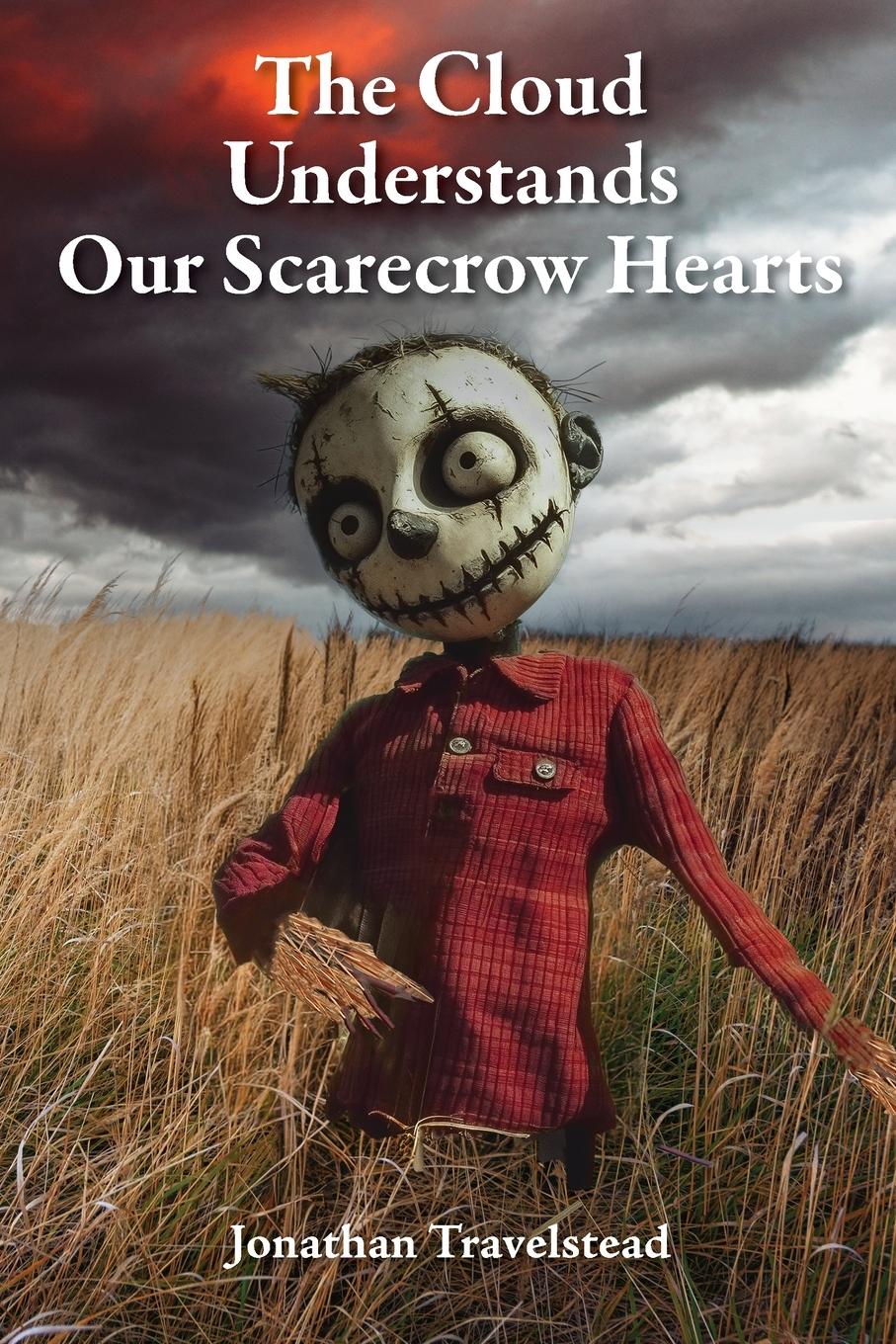 Vorderes Coverbild The Cloud Understands Our Scarecrow Hearts