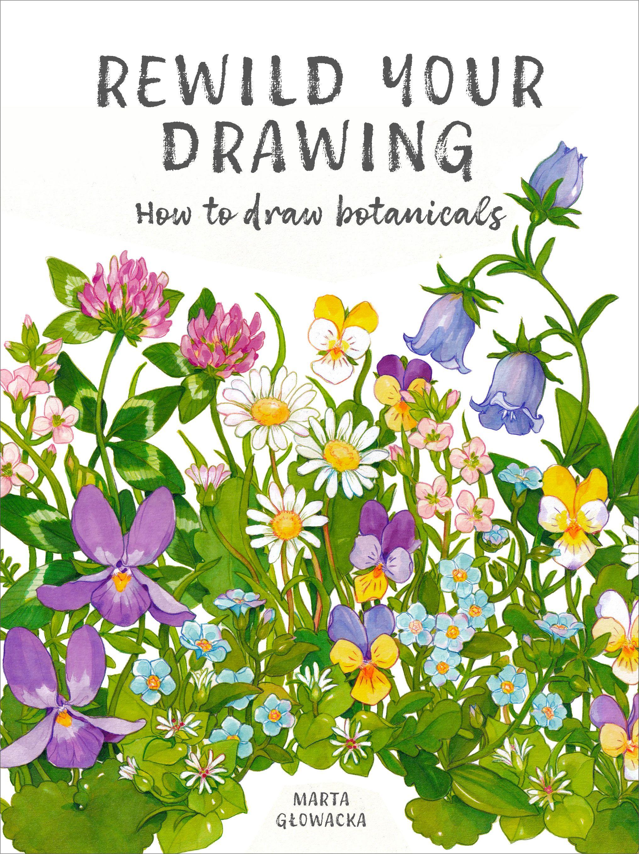 Vorderes Coverbild Rewild Your Drawing