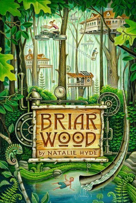 Vorderes Coverbild Briarwood