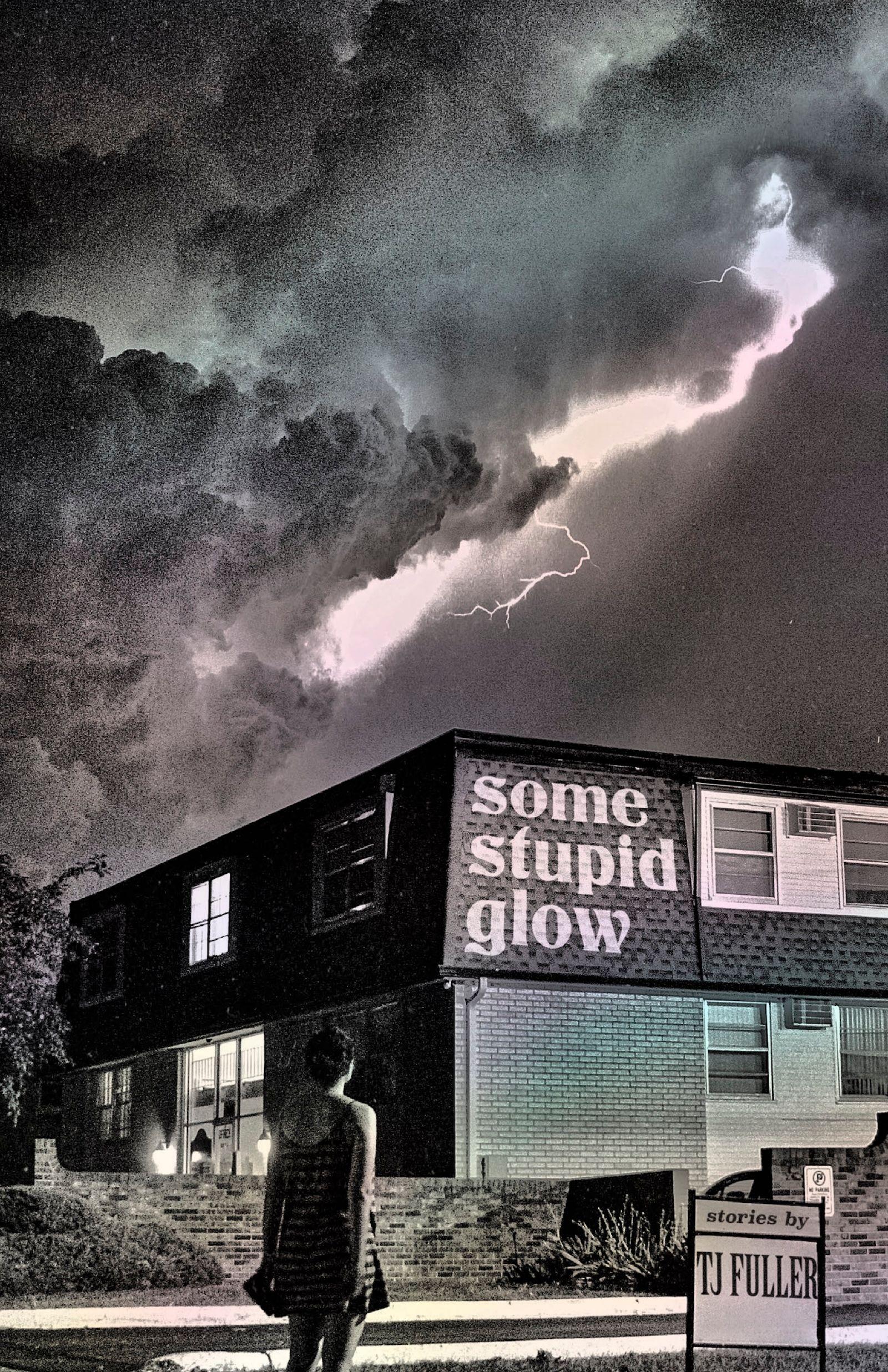 Vorderes Coverbild Some Stupid Glow