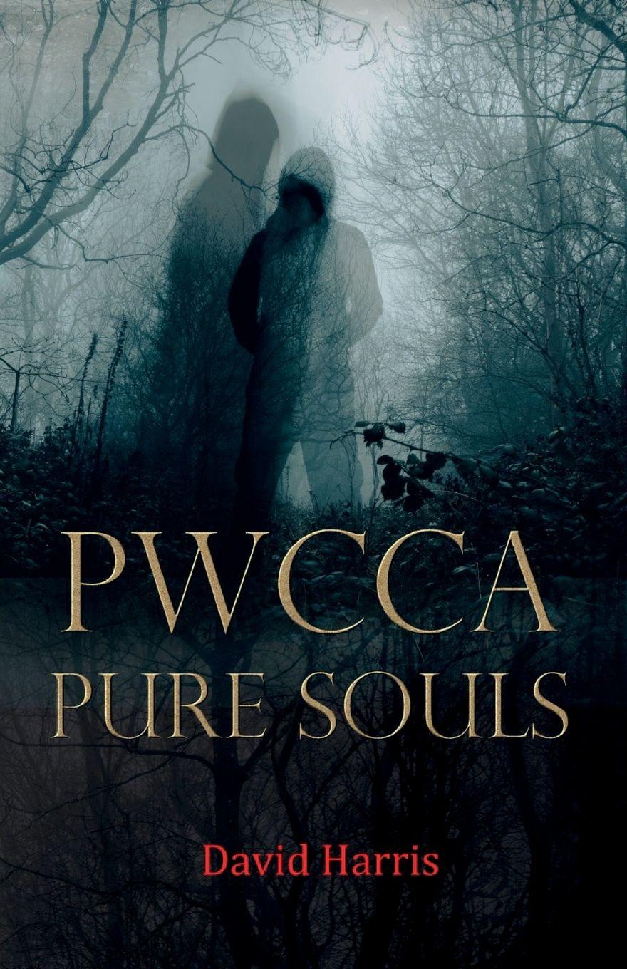 Vorderes Coverbild Pwcca Pure Souls