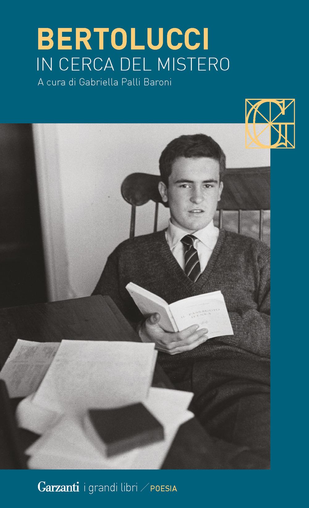 Vorderes Coverbild In cerca del mistero