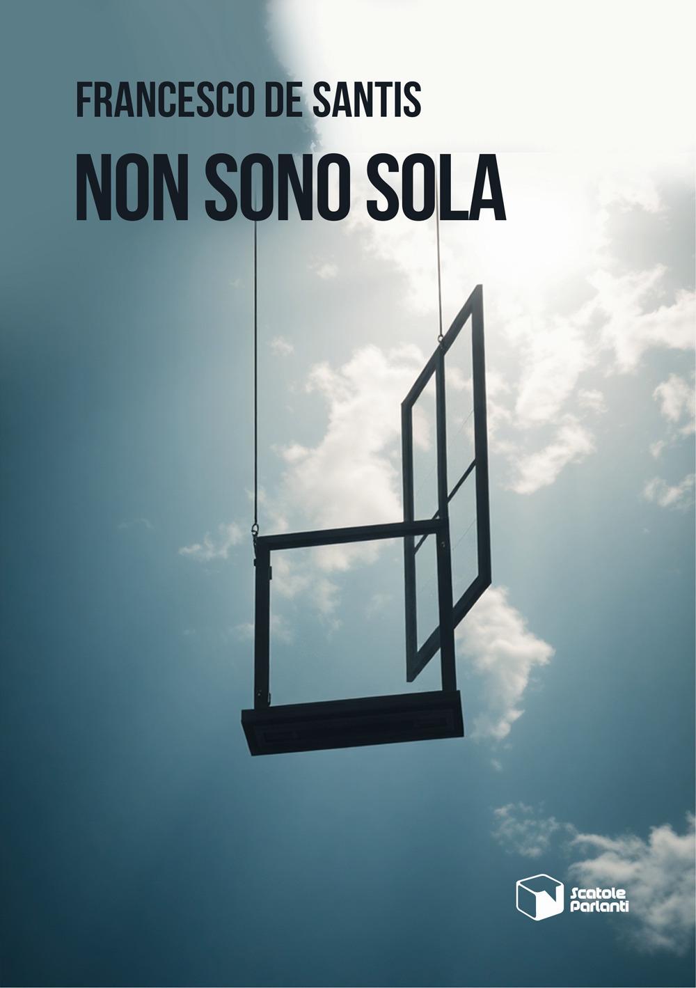 Vorderes Coverbild Non sono sola