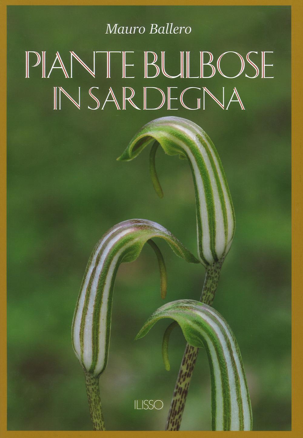 Vorderes Coverbild Piante bulbose in Sardegna