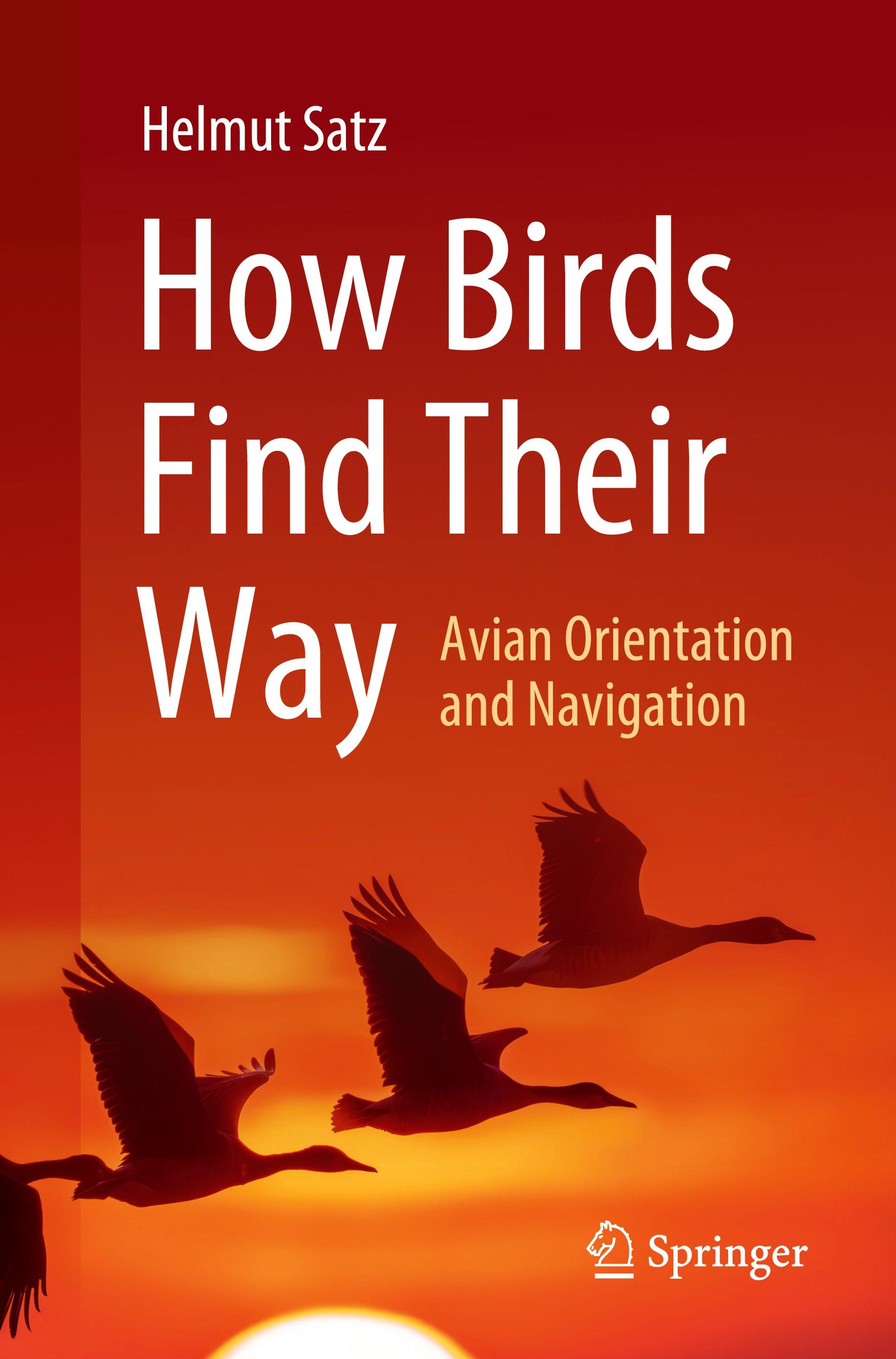 Vorderes Coverbild How Birds Find Their Way