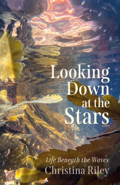 Vorderes Coverbild Looking Down at the Stars