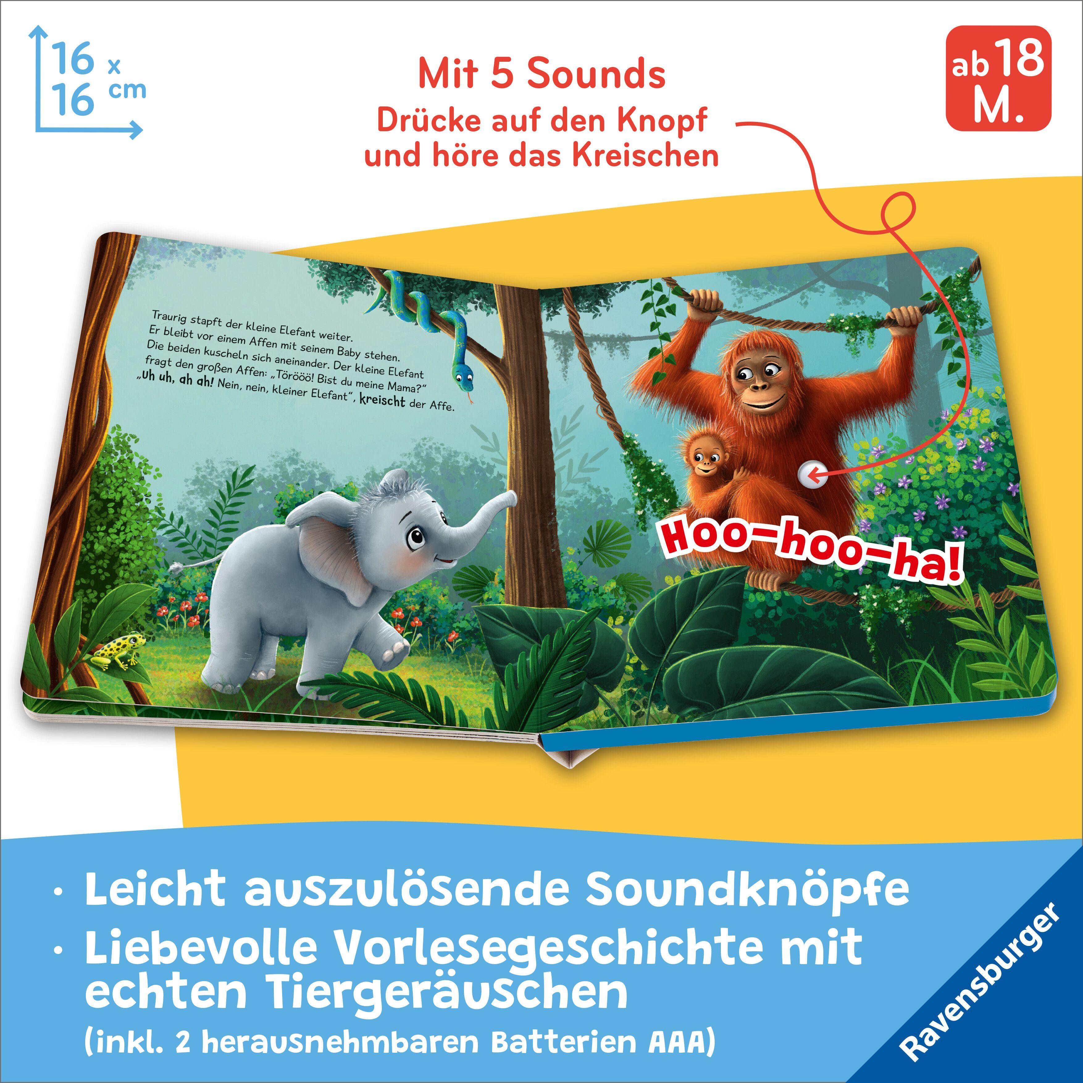 Beispielinhalt (Bild) Hör mal hin - Törööö! Bist du meine Mama?