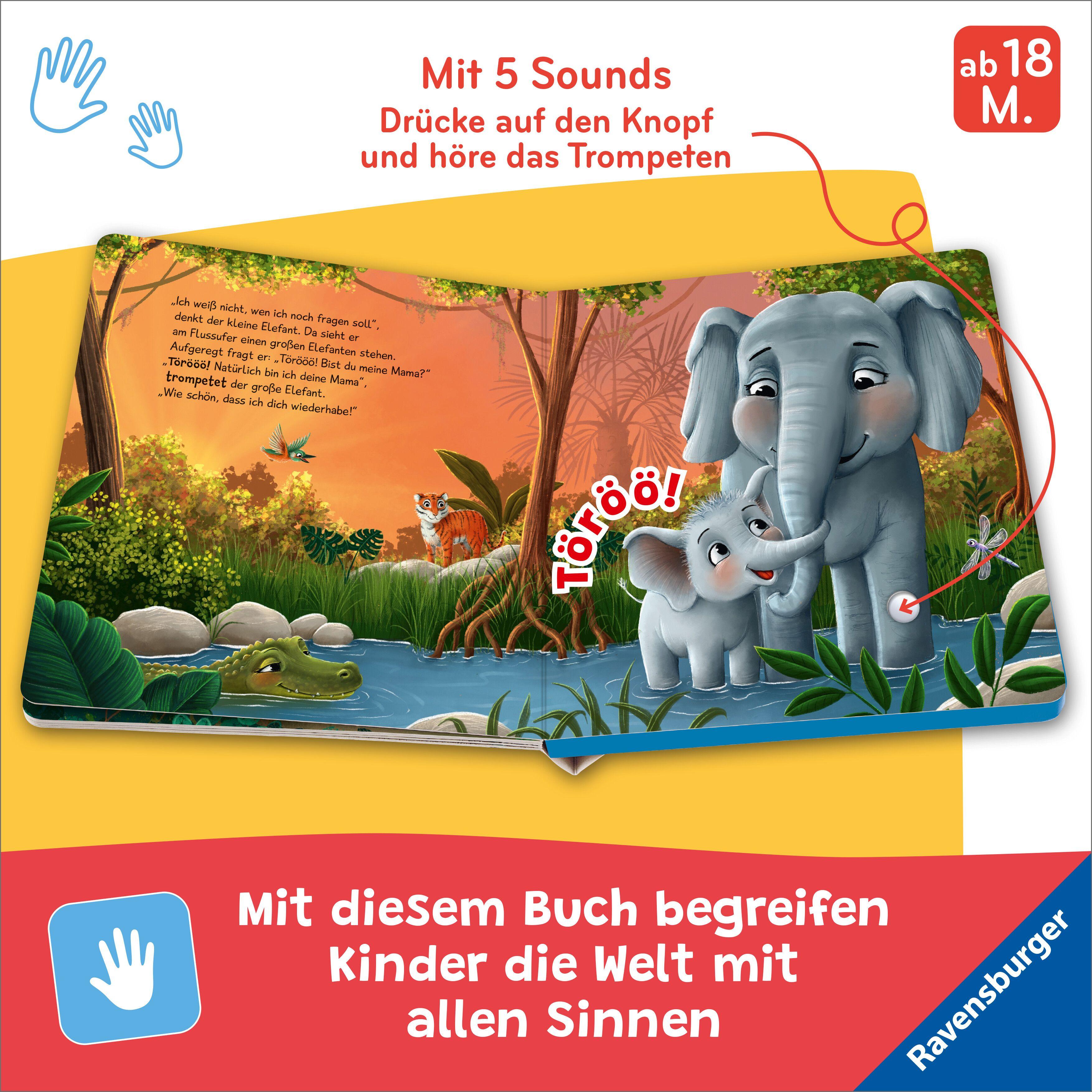 Beispielinhalt (Bild) Hör mal hin - Törööö! Bist du meine Mama?