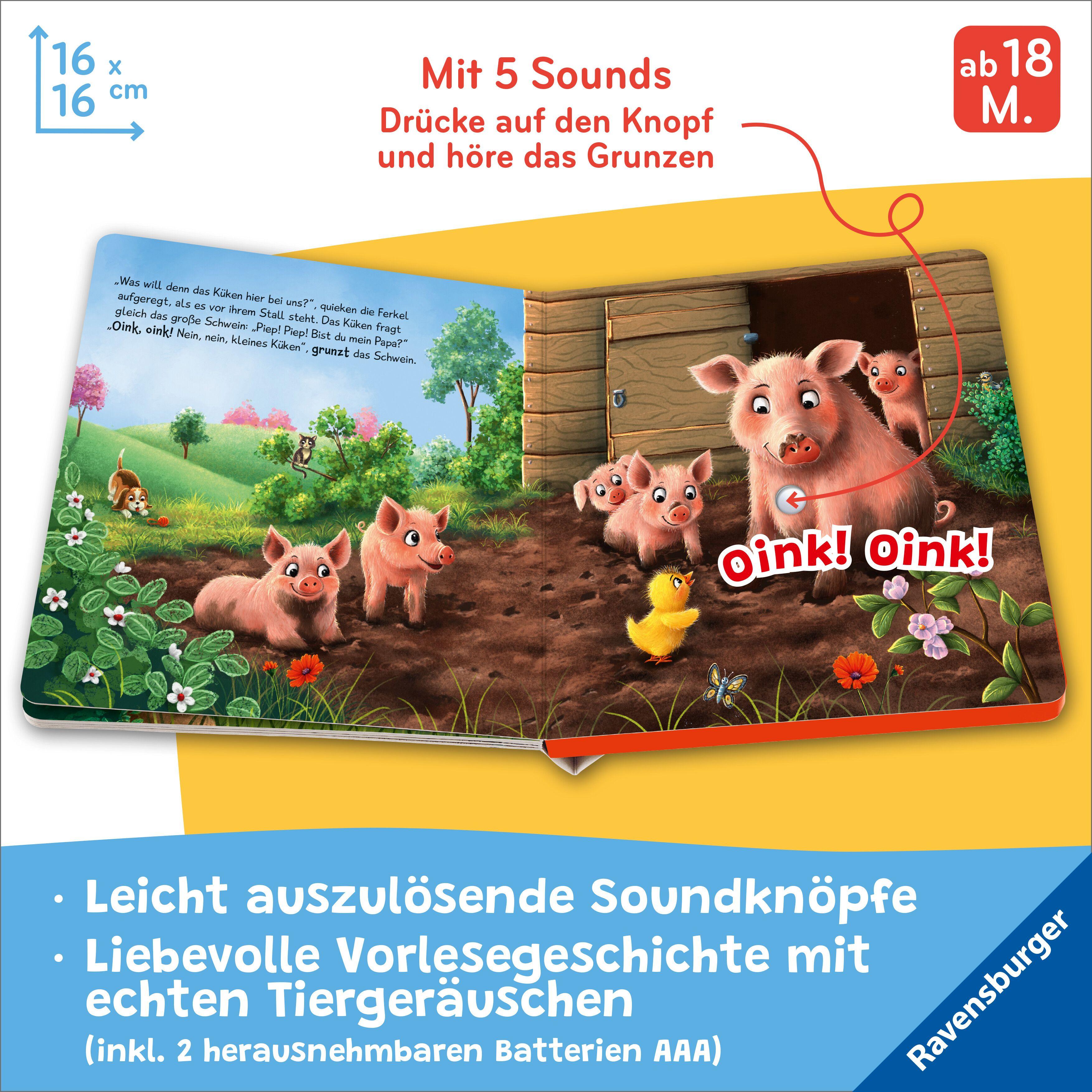 Beispielinhalt (Bild) Hör mal hin - Piep! Piep! Bist du mein Papa?