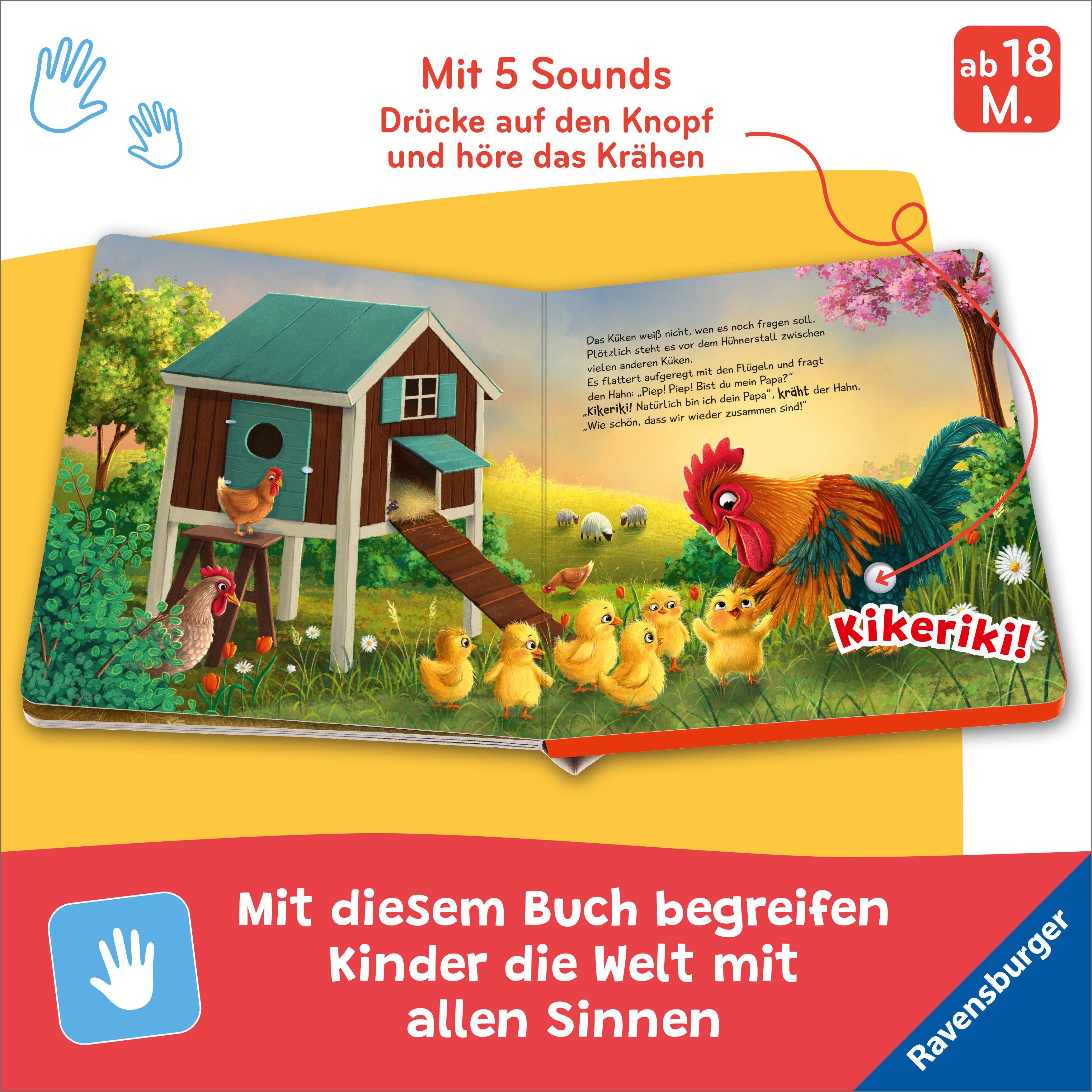 Beispielinhalt (Bild) Hör mal hin - Piep! Piep! Bist du mein Papa?