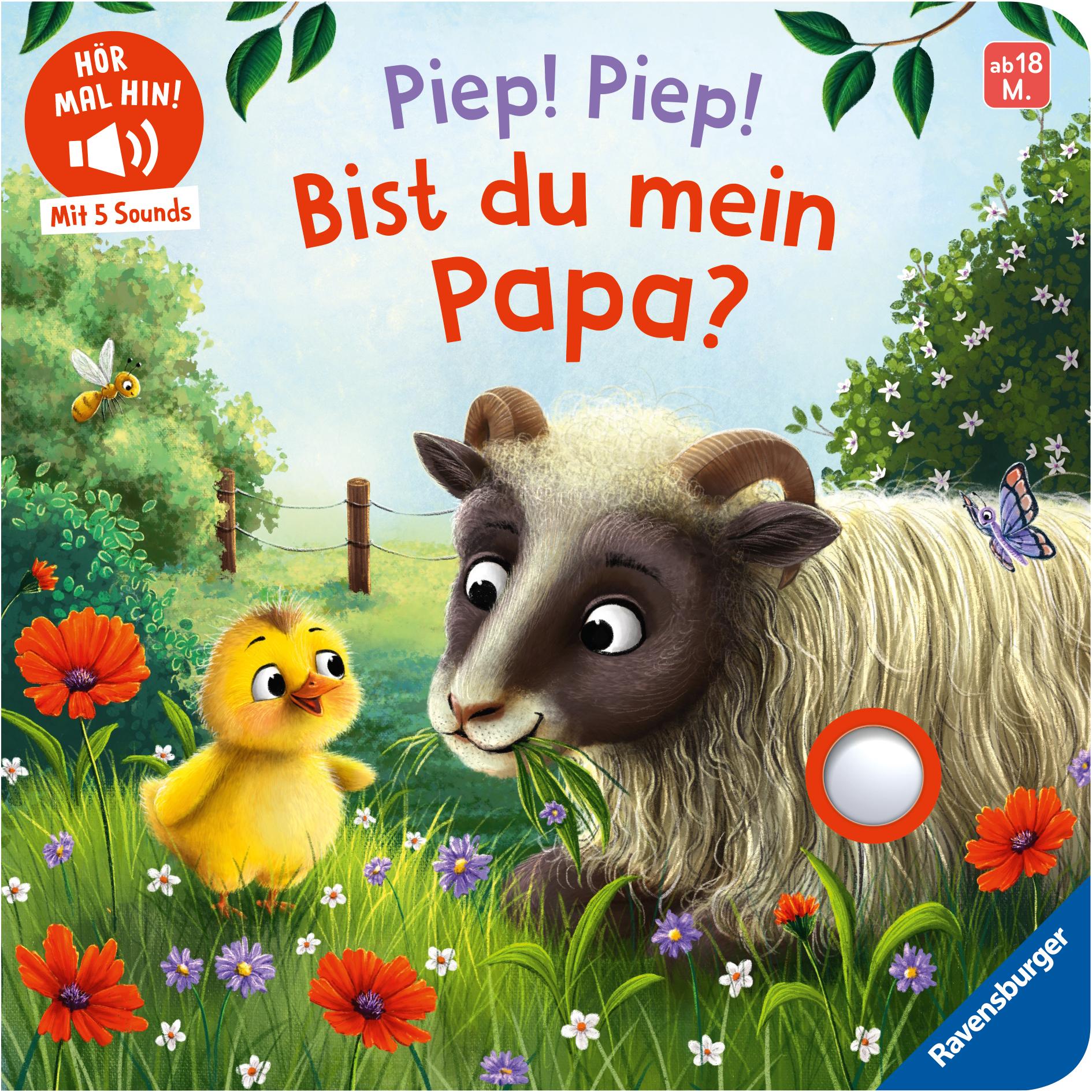 Vorderes Coverbild Hör mal hin - Piep! Piep! Bist du mein Papa?