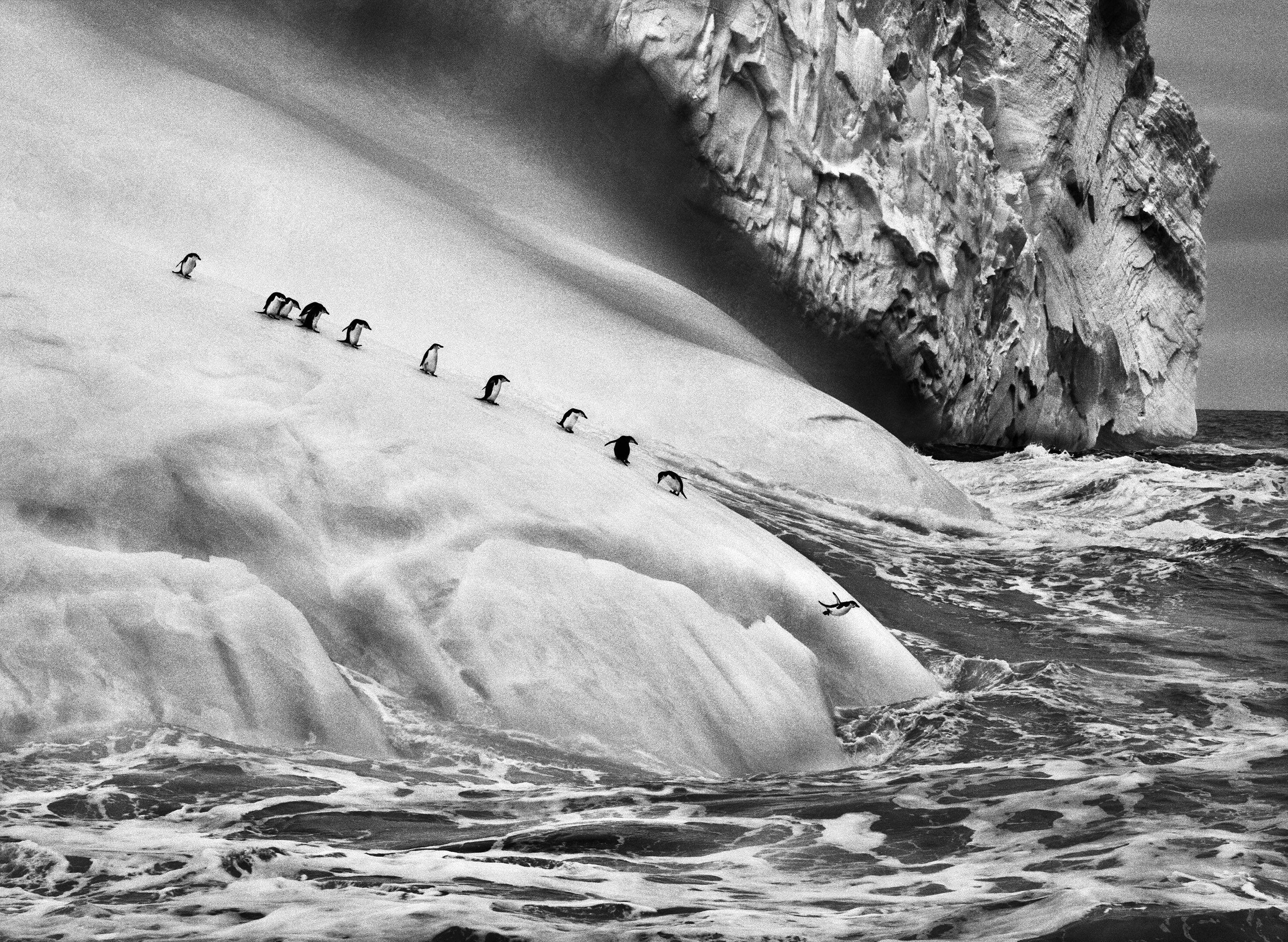 Beispielinhalt (Bild) Sebastião Salgado: Gletscher