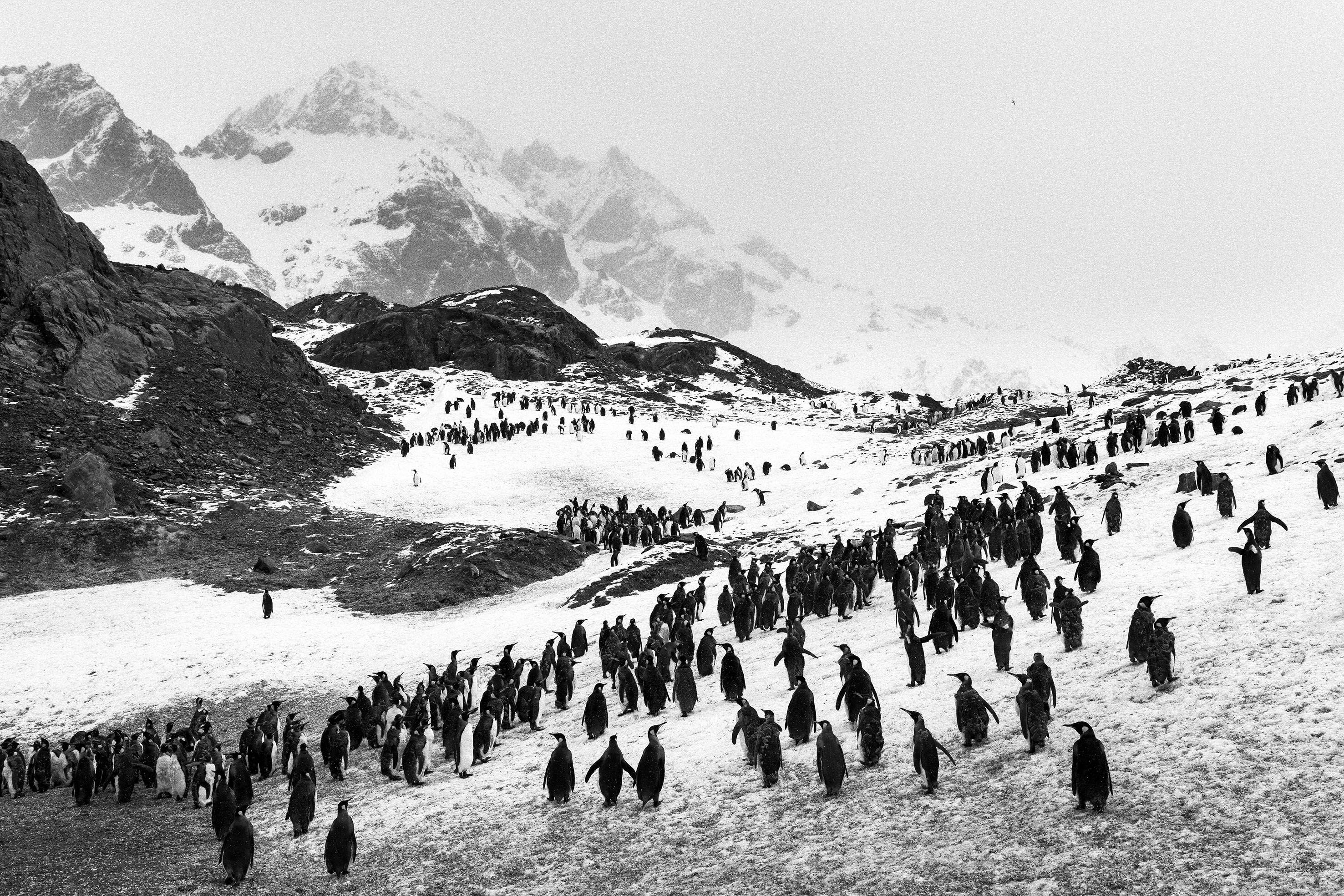 Beispielinhalt (Bild) Sebastião Salgado: Gletscher