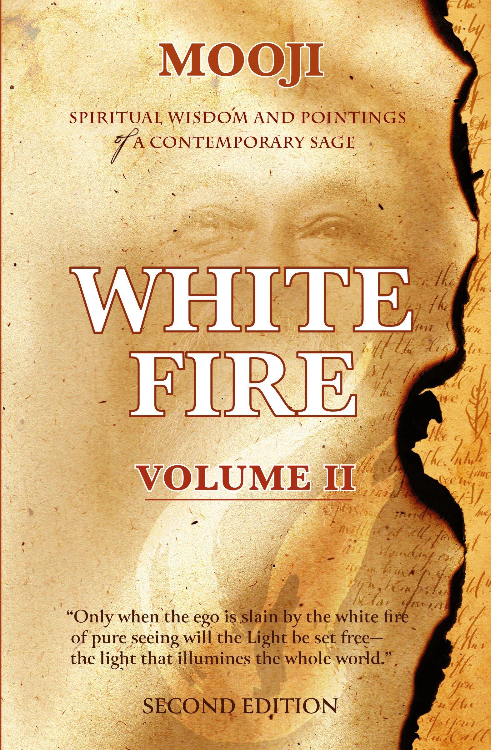 Vorderes Coverbild White Fire
