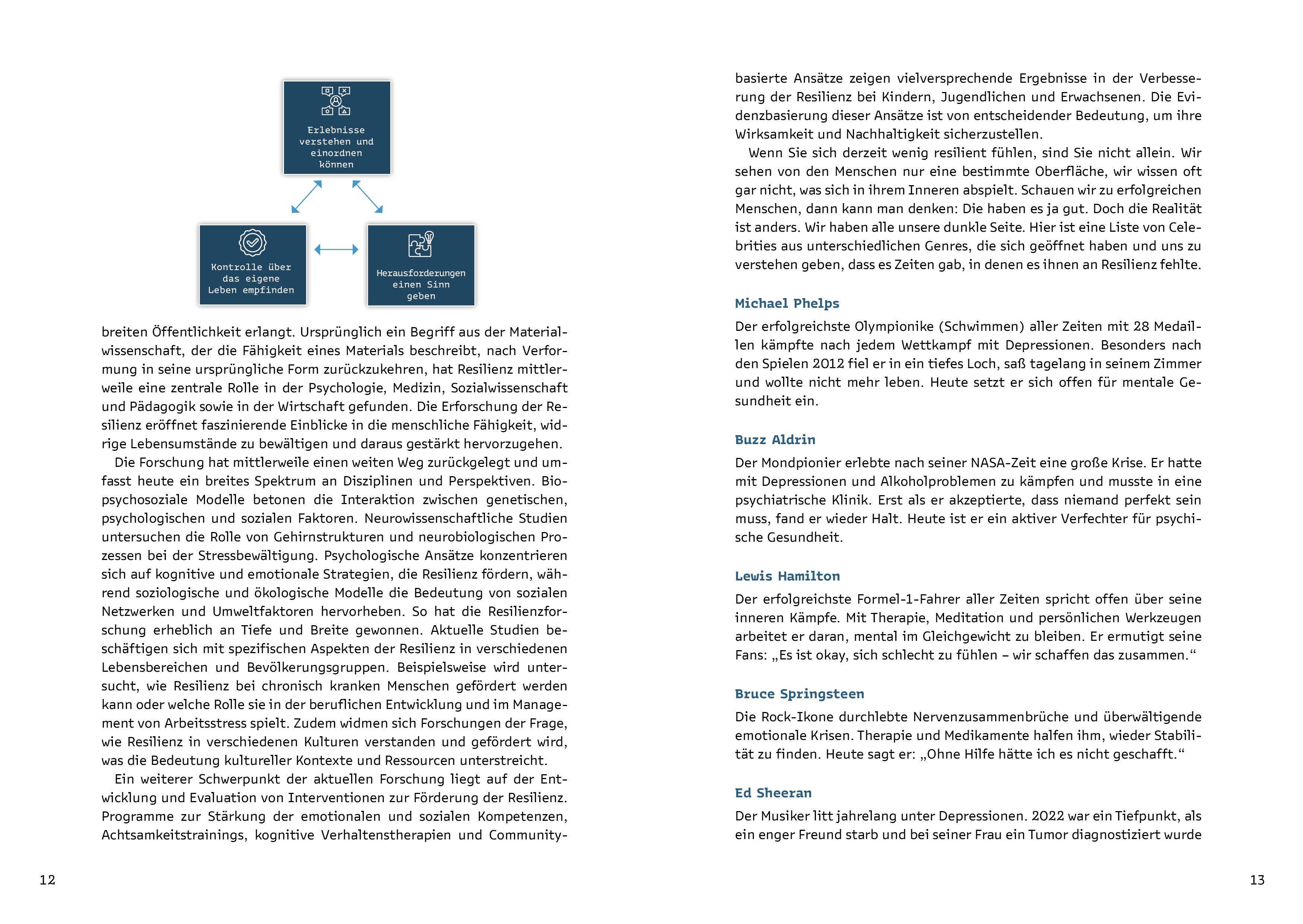 Beispielinhalt (Bild) ResilienzBooster