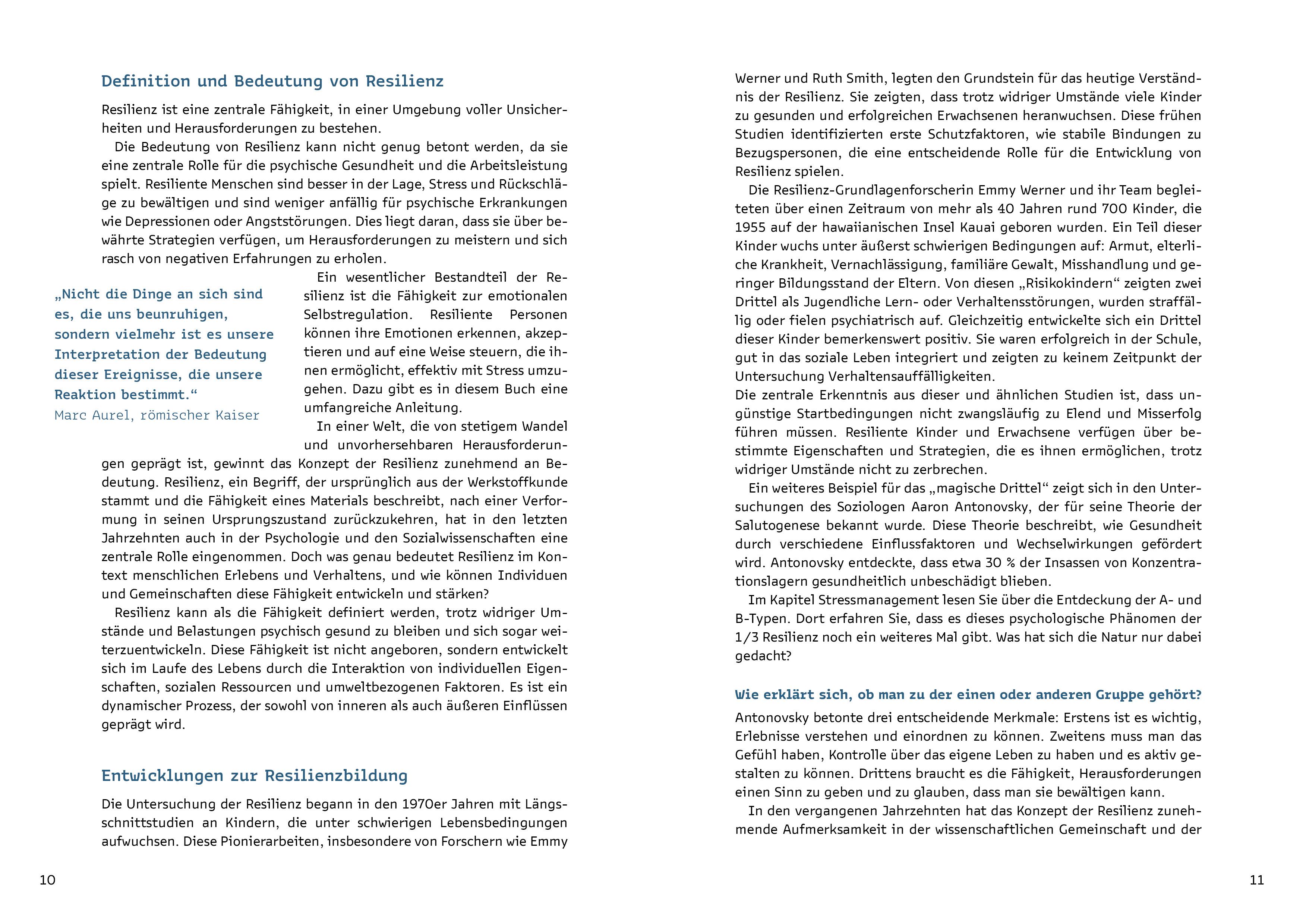 Beispielinhalt (Bild) ResilienzBooster