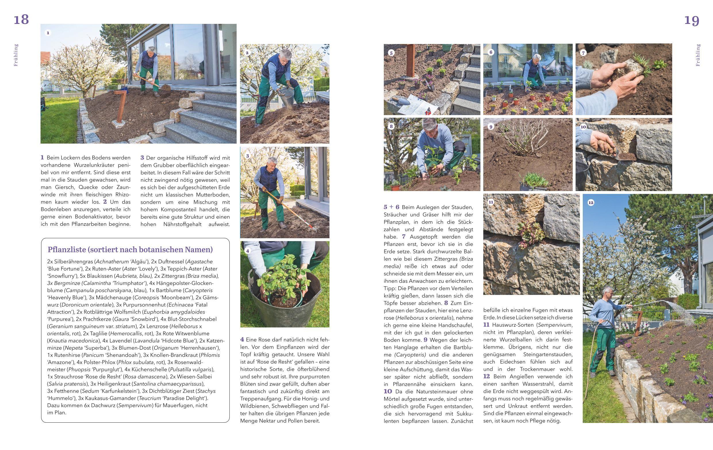 Beispielinhalt (Bild) Dein schöner Garten