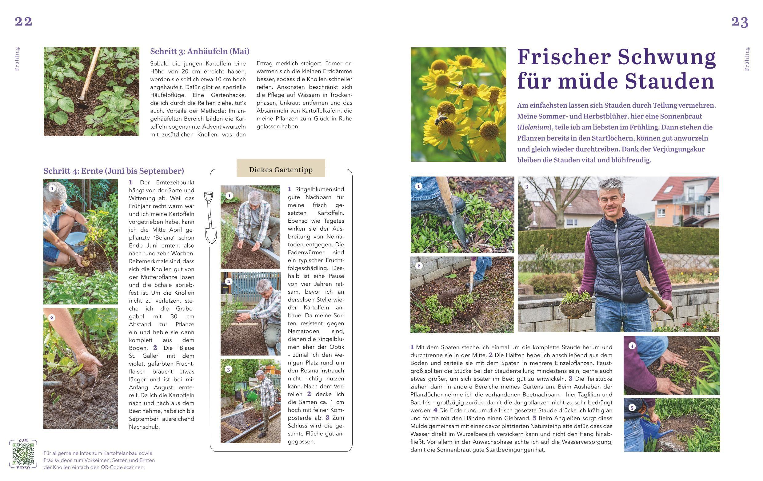 Beispielinhalt (Bild) Dein schöner Garten