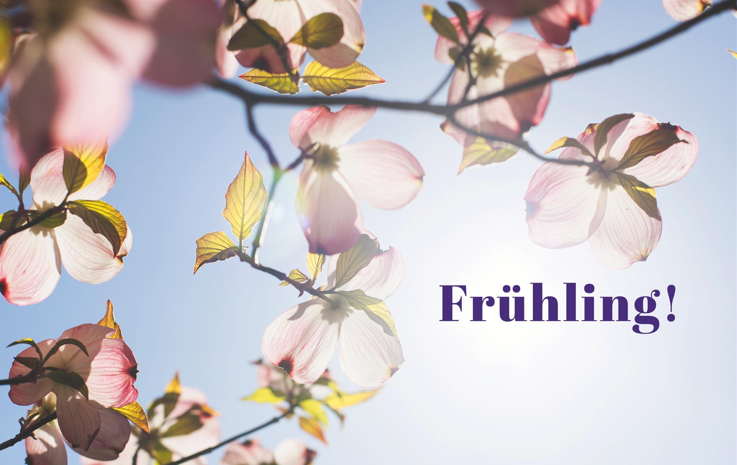 Beispielinhalt (Bild) Dein schöner Garten