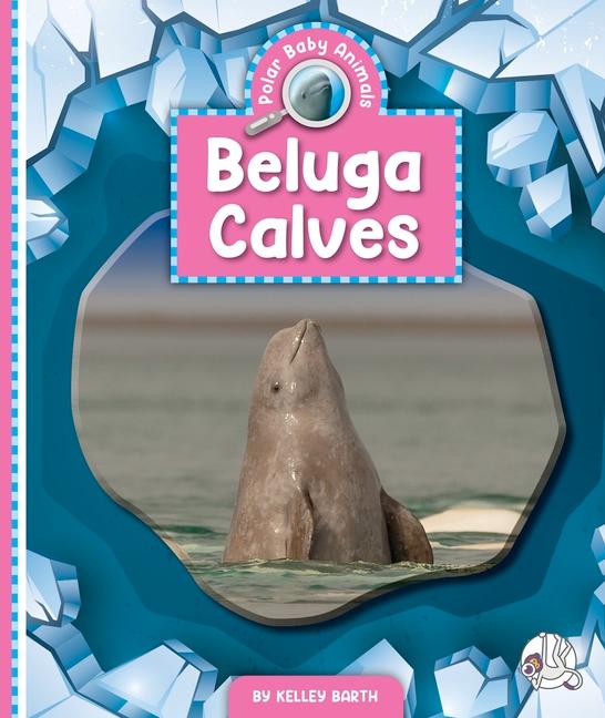 Vorderes Coverbild Beluga Calves
