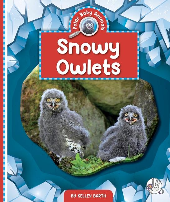 Vorderes Coverbild Snowy Owlets