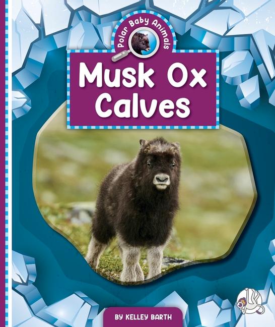 Vorderes Coverbild Musk Ox Calves