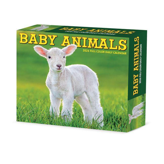 Vorderes Coverbild Baby Animals 2026 5.4 X 6.2 Box Calendar