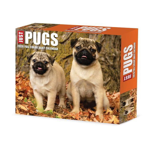 Vorderes Coverbild Just Pugs 2026 5.4 X 6.2 Box Calendar