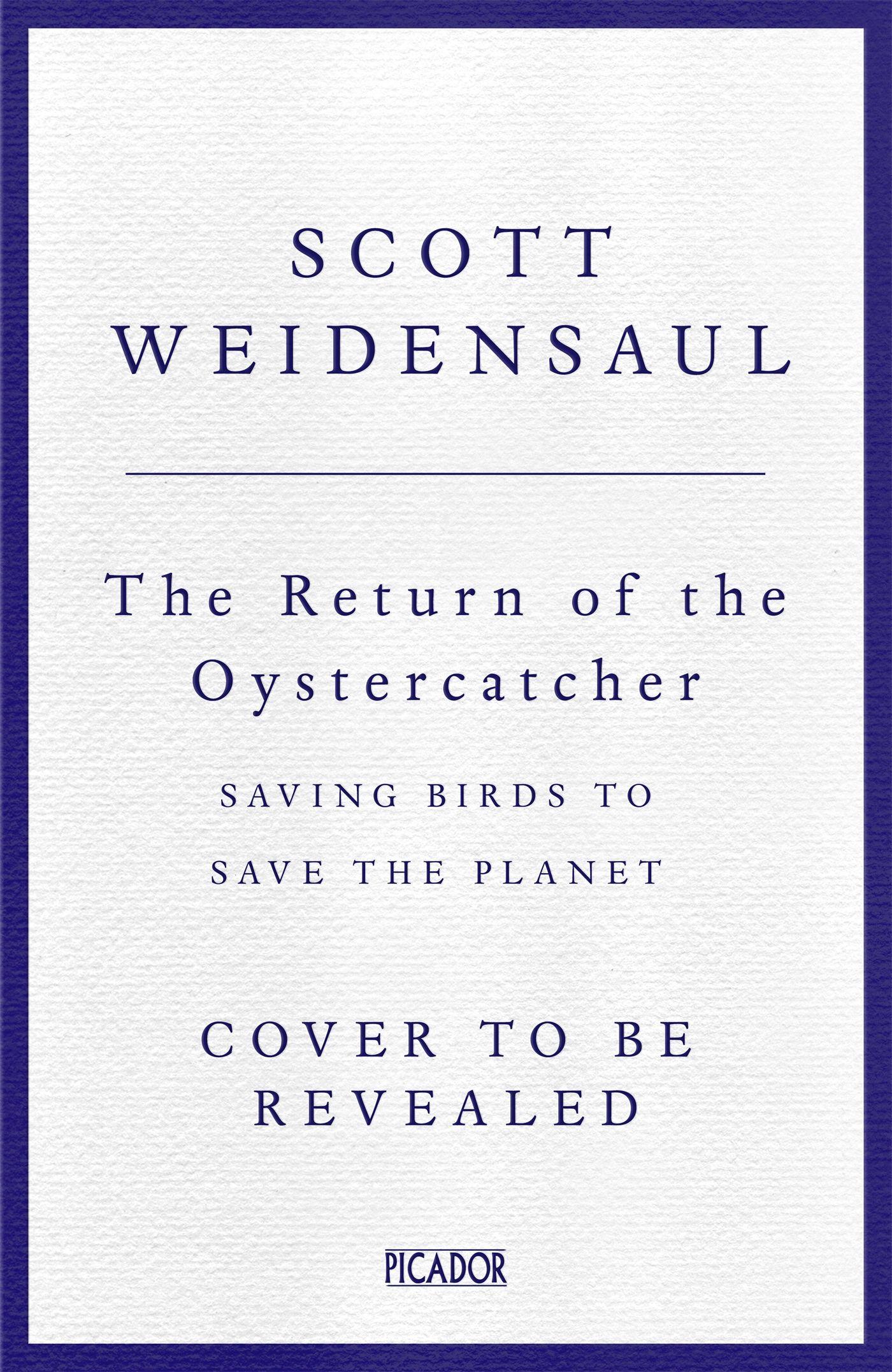 Vorderes Coverbild Return of the Oystercatcher