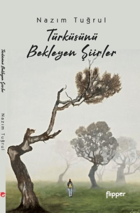 Vorderes Coverbild Türküsünü Bekleyen Siirler