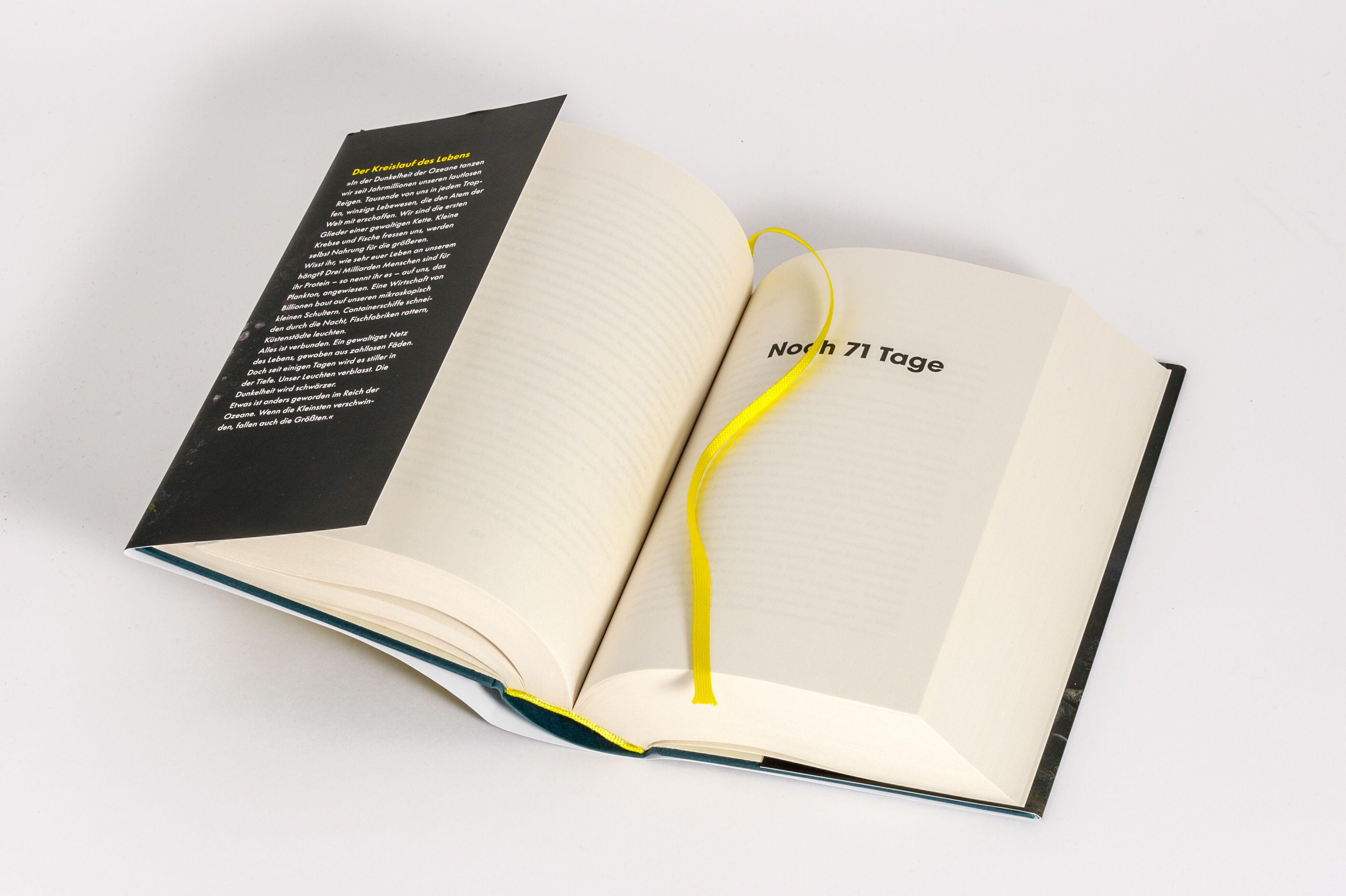 Beispielinhalt (Bild) EDEN - Wenn das Sterben beginnt