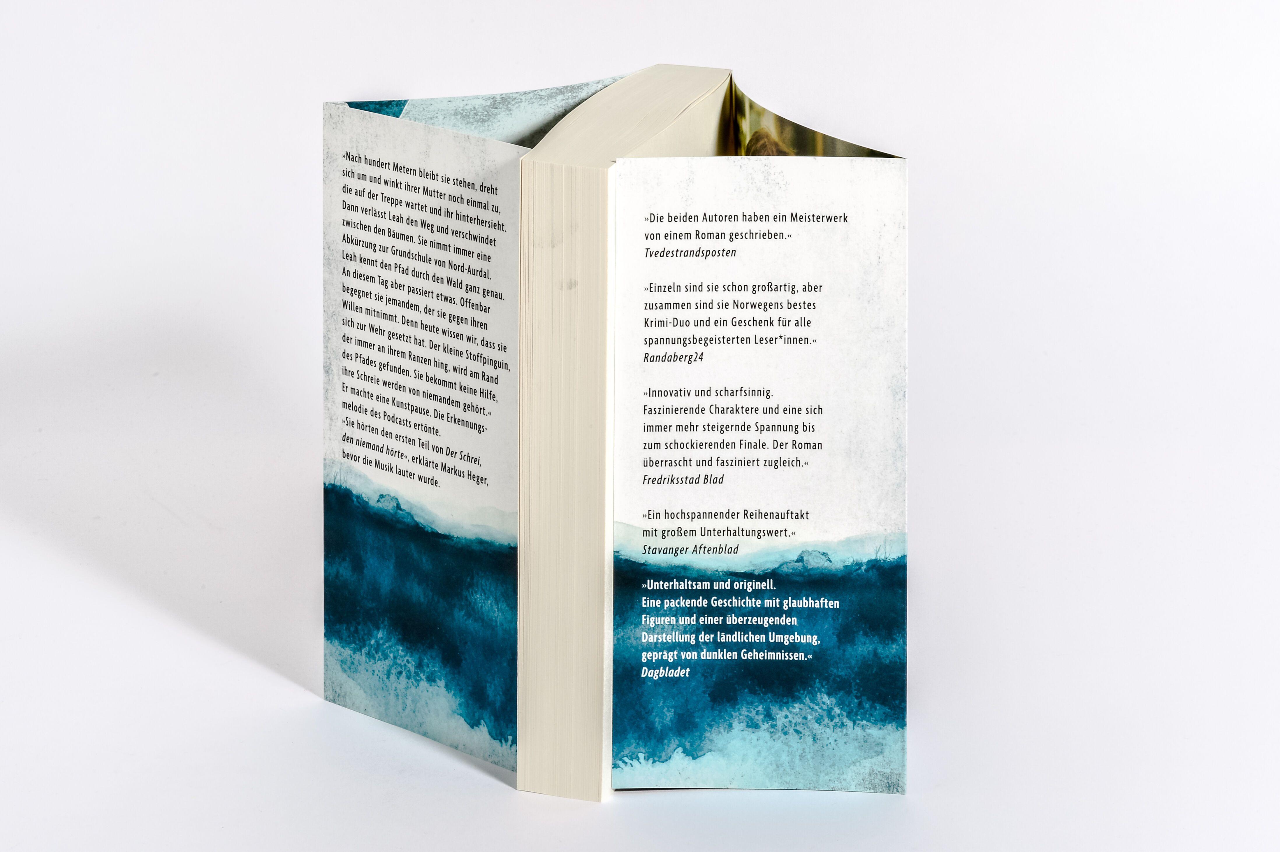 Beispielinhalt (Bild) Hörst du den Schrei?